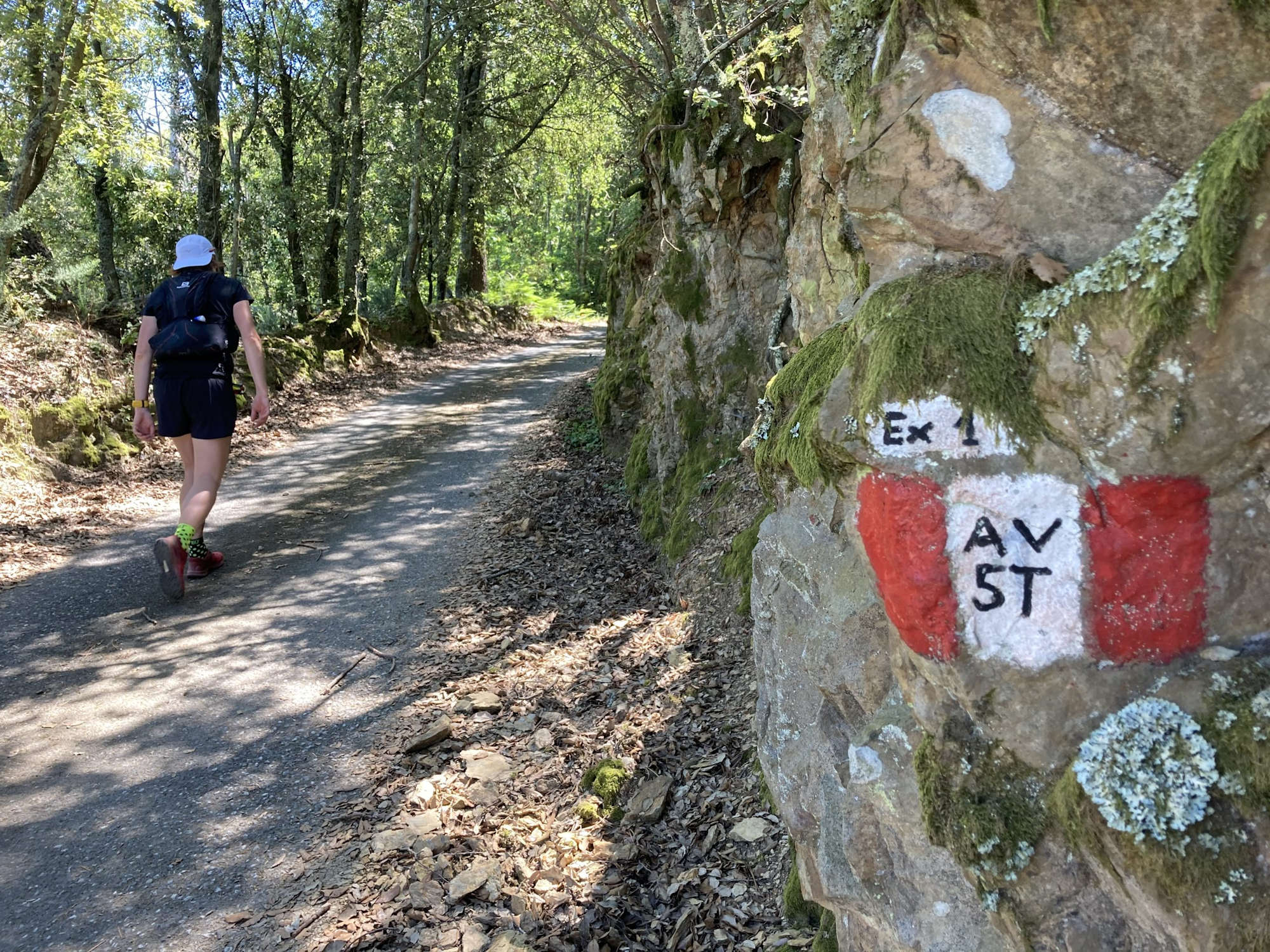 Alta via delle cinque terre (35,5 km – 1650 m D+)